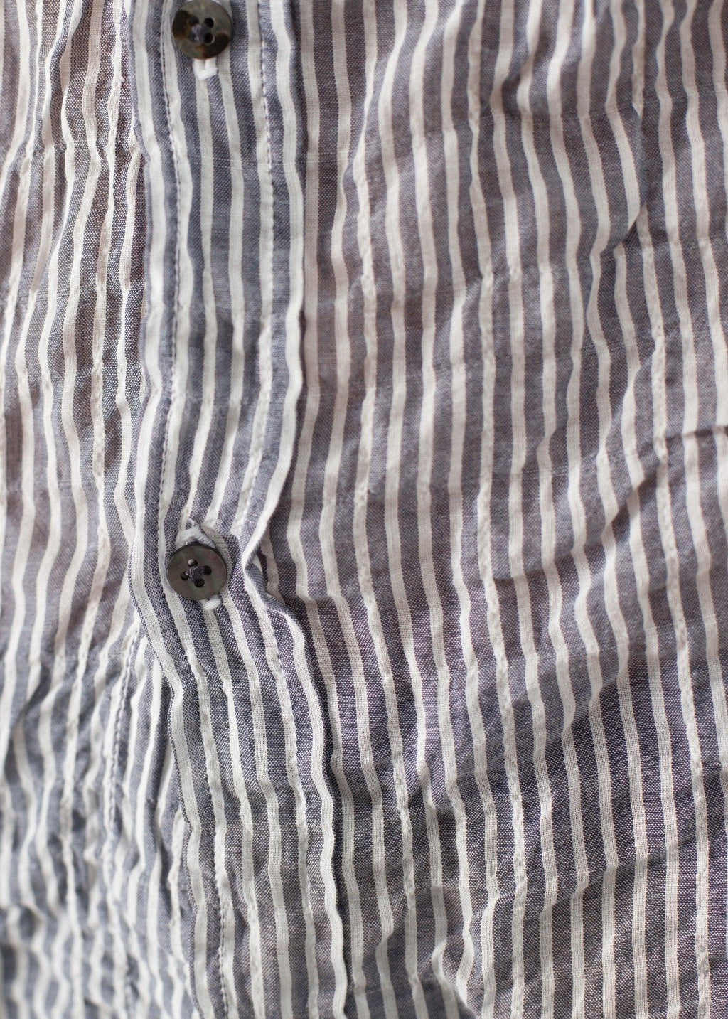 Boy Shirt in Pin - linhnguyen3
